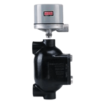 Series 102/1102 Flanged Chamber Type Level Control